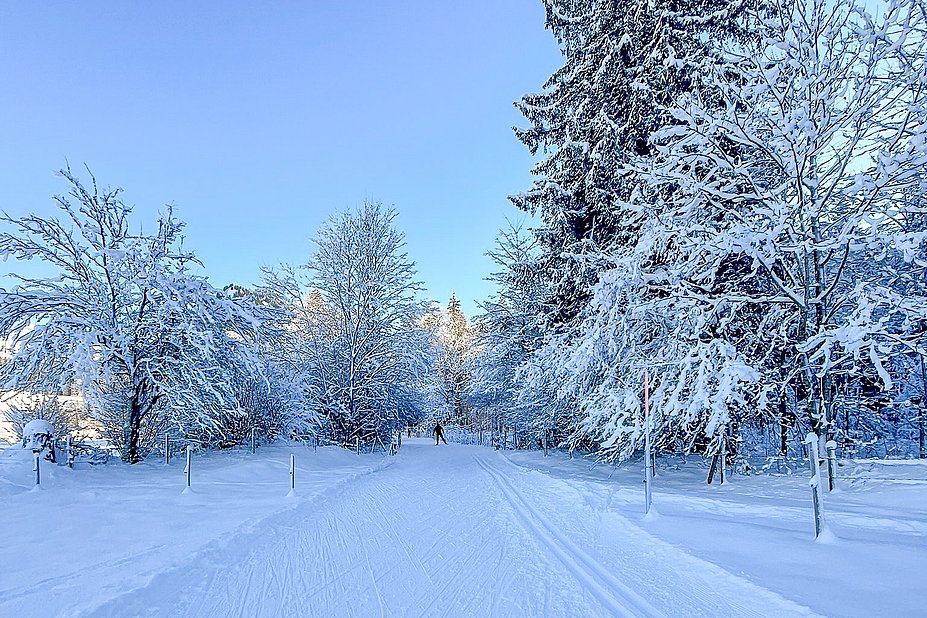 Langlaufloipe Öschwiesen