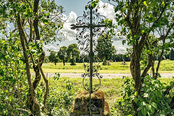 Metallkreuz von Sträuchern eingerahmt