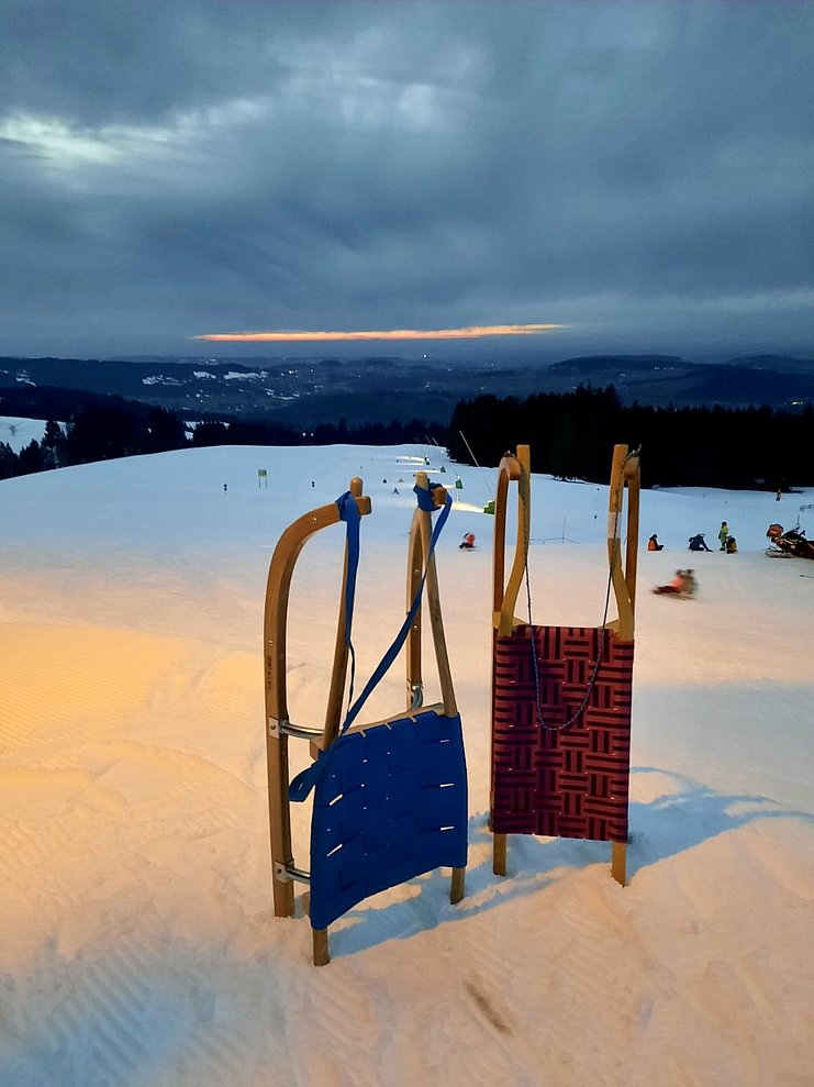 Schlitten im Schnee