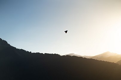 Vogel fliegt über den Bergen im Oytal Vogel fliegt über den Bergen im Oytal
