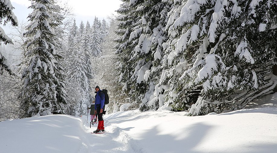 Mit den Scheeschuhen unterwegs am Grünten im Allgäu