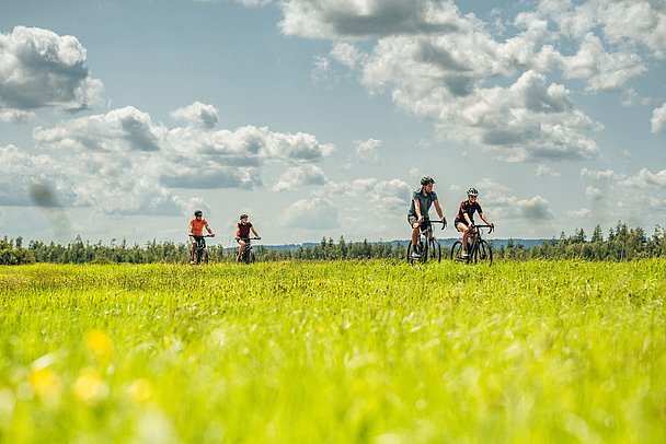 Vier Radler radeln über eine Wiese