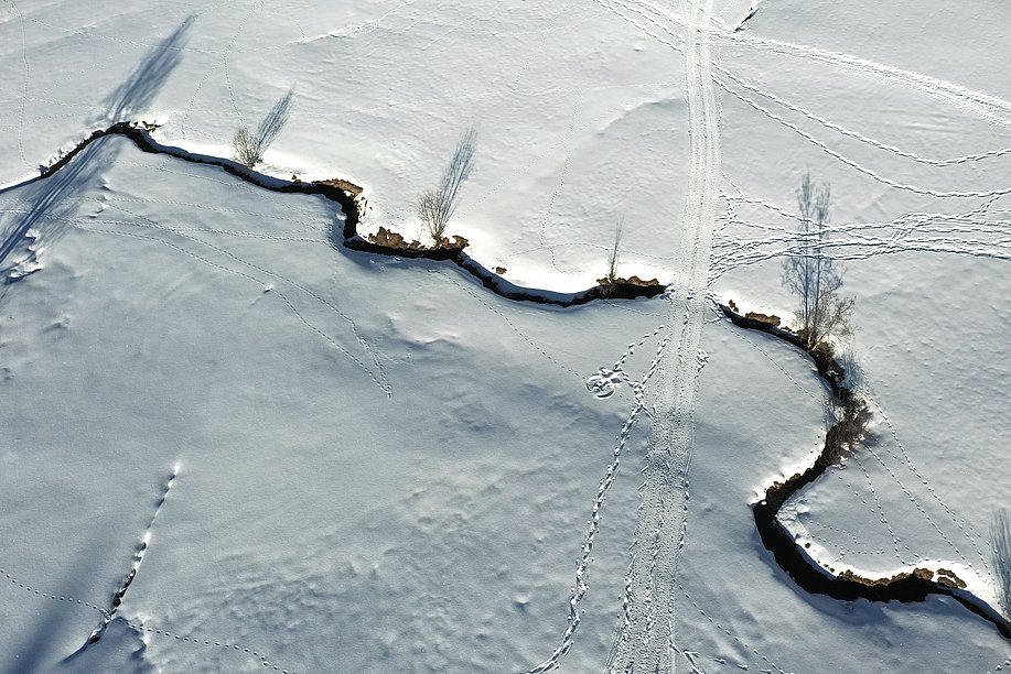 Tierspuren im Schnee