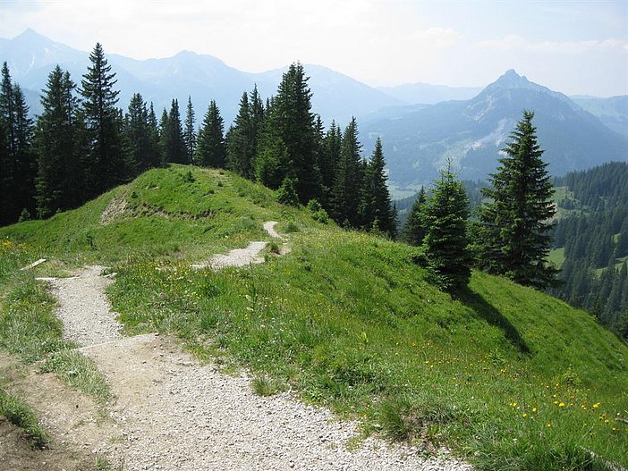 Schöne Wanderung