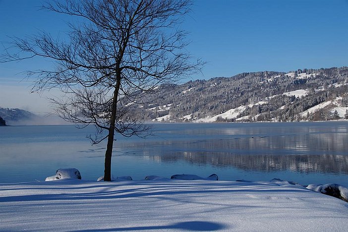Winteridylle