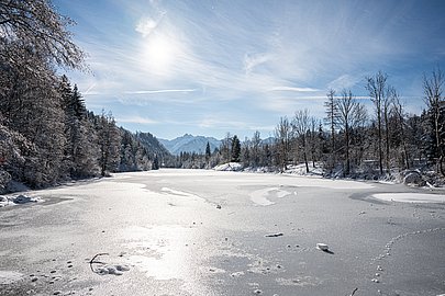 Verschneiter Auwaldsee Verschneiter Auwaldsee