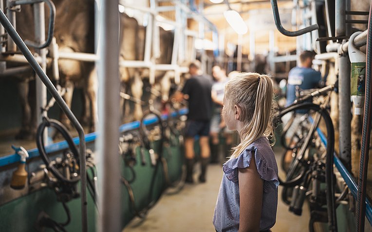 Mädchen von hinten schaut in einem Stall beim Kühe melken zu Mädchen von hinten schaut in einem Stall beim Kühe melken zu