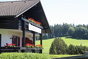 IMG_5205