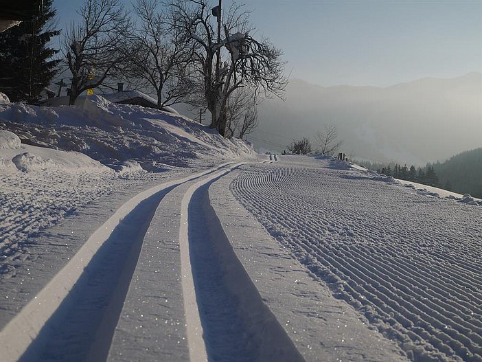 Winterspur