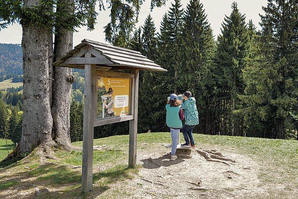 Mädchen und Junge schauen durch ein Fernrohr