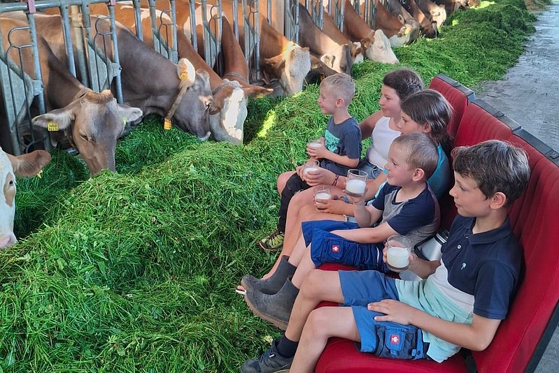 Kinder sitzen in einem Stall auf Kinosesseln und schauen Kühen beim Gras fressen zu Kinder sitzen in einem Stall auf Kinosesseln und schauen Kühen beim Gras fressen zu