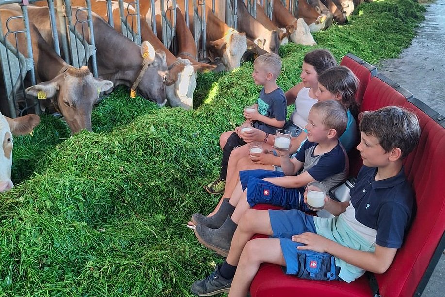 Kinder sitzen in einem Stall auf Kinosesseln und schauen Kühen beim Gras fressen zu Kinder sitzen in einem Stall auf Kinosesseln und schauen Kühen beim Gras fressen zu
