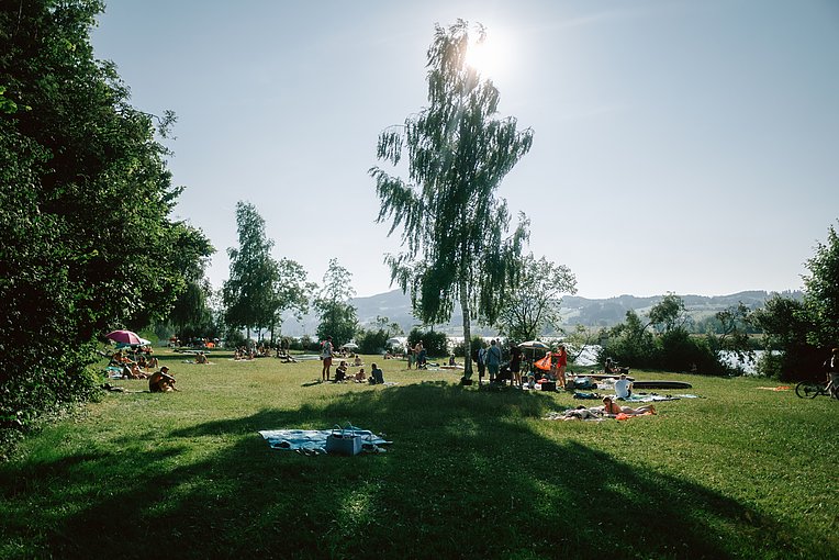 Liegewiese am Niedersonthofener See im Sommer