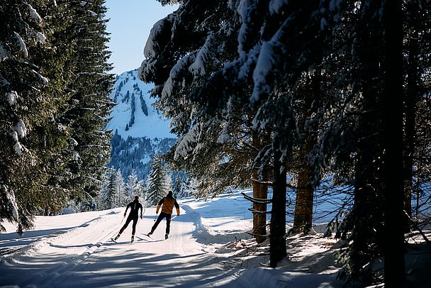 Zwei Langläufer verlassen auf einer Loipe einen Wald