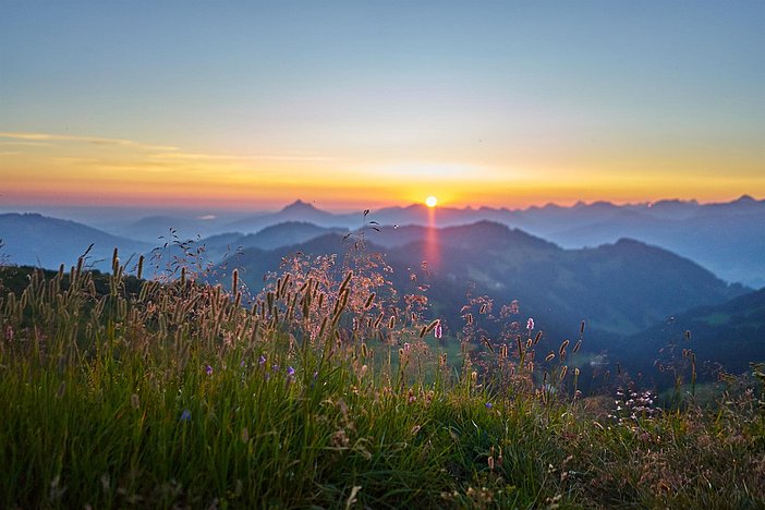 Riedberger Horn