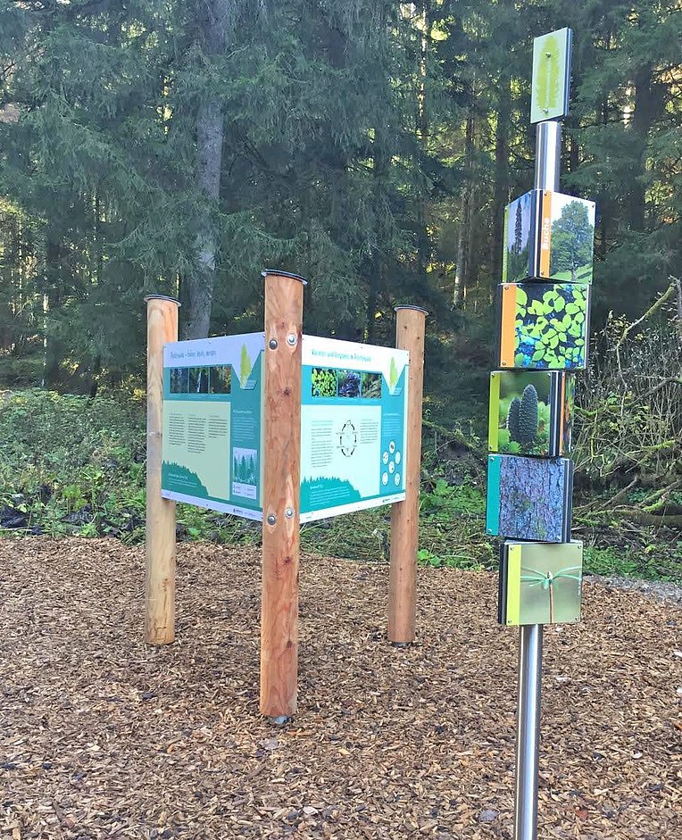 Infotafel am Plenterwaldweg zum Kreislauf des Plenterwalds