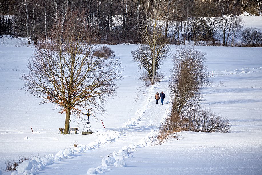 Zwei Wanderer wandern auf einem präparierten Weg durch eine verschneite Landschaft