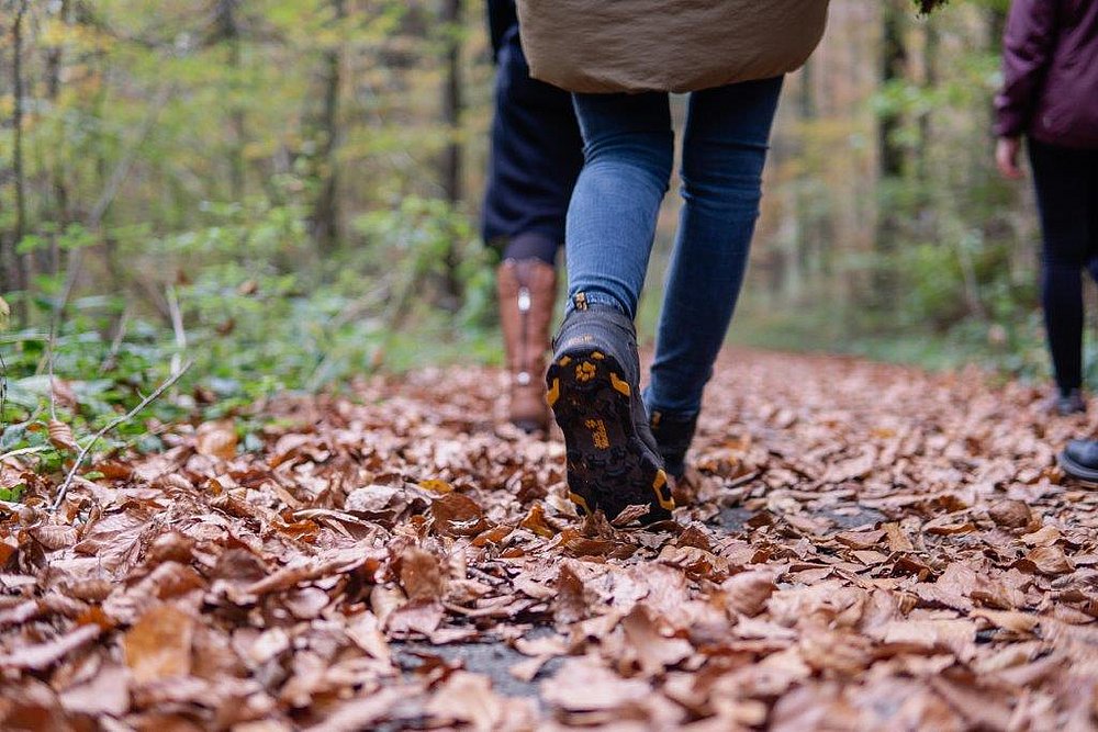 Wanderbeine im Wald auf Herbstblättern