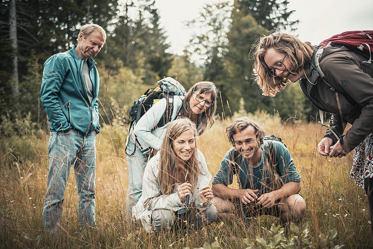 Gruppe bestaunt Kräuter in einem Moor