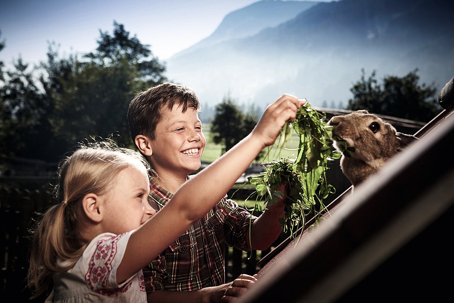 Kinder füttern Hasen auf Bauernhof im Allgäu - Urlaub auf dem Bauernhof