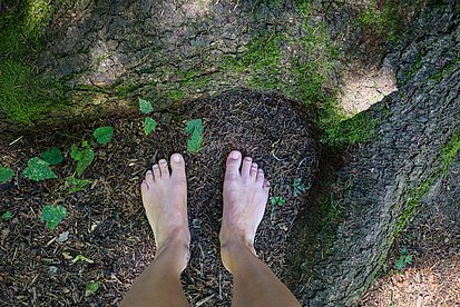 Nackte Füße auf Waldboden neben einer Wurzel