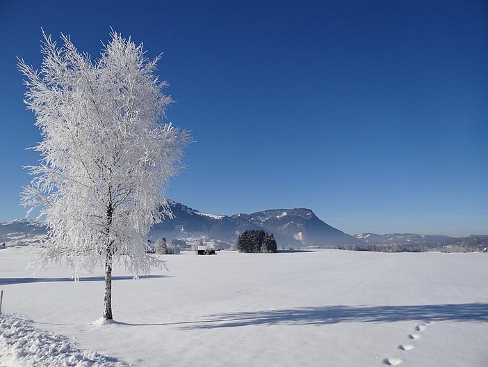 Wintermärchen