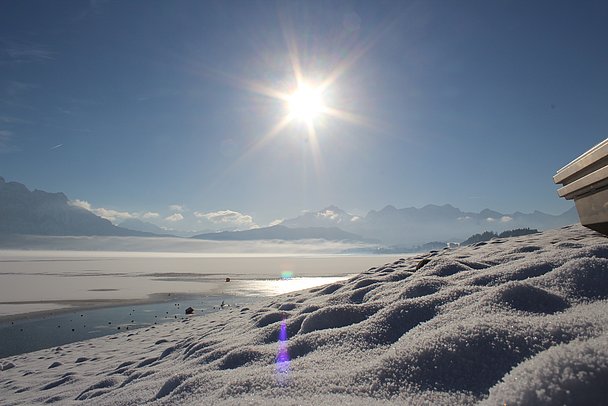 Verschneiter Forggensee