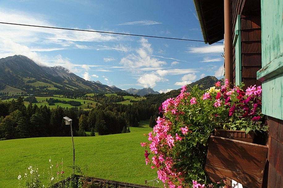 Bergblick Balkon Wohnung Nr.1