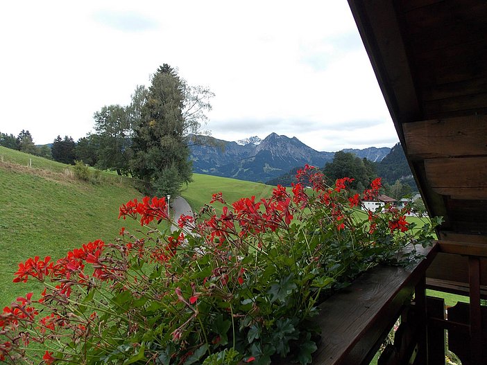 Aussicht Ferienwohnung