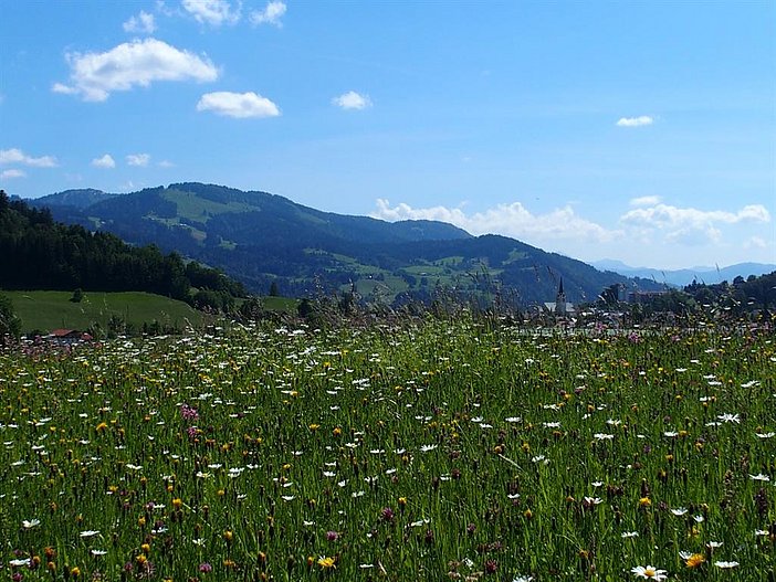 Unsere Aussicht