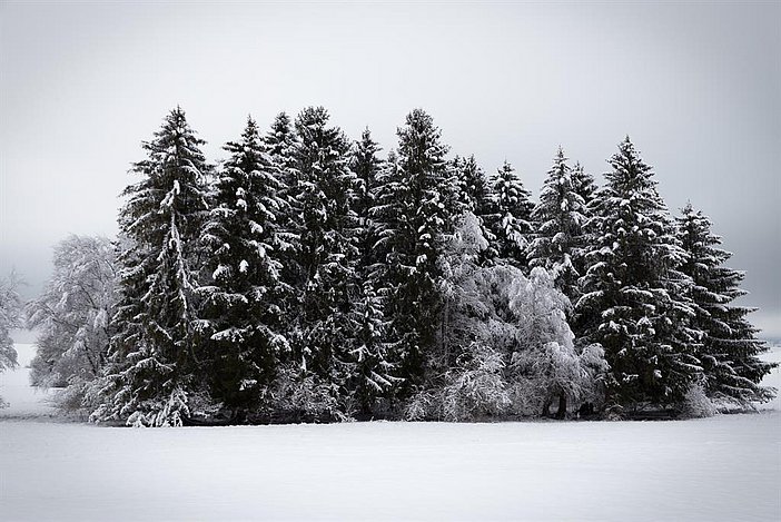 Stille Zeit