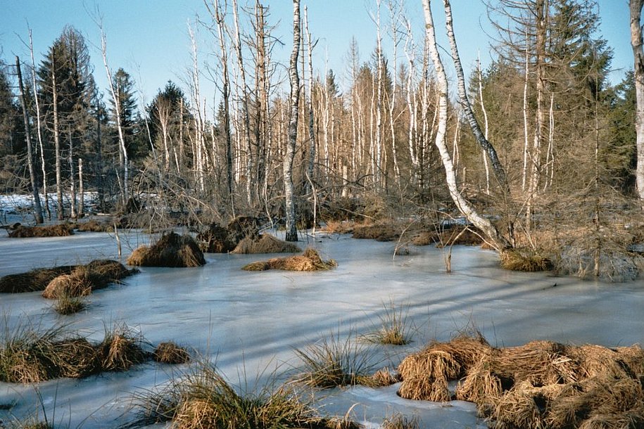 moortmpel