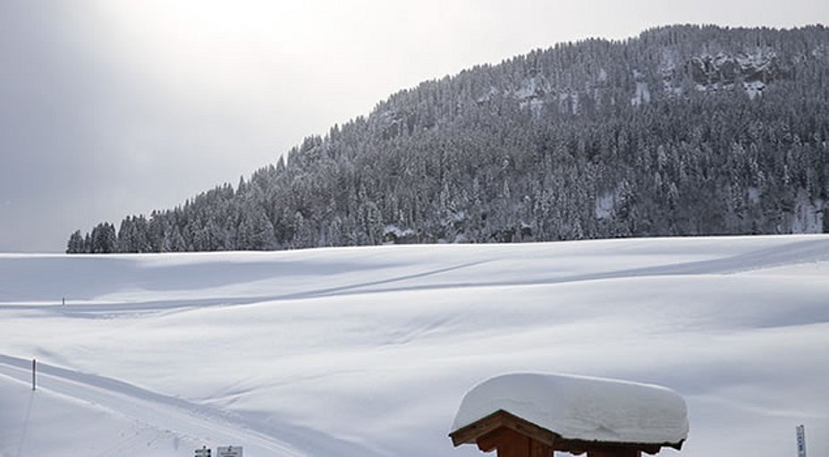 Langlaufparadies Obermaiselstein