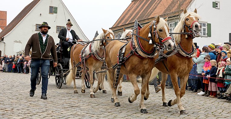 Kutsche mit vier Pferden beim Leonharti-Ritt in Illerbeuren