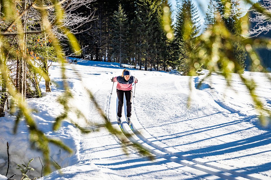 Langlaufen im Rohrmoos Langlaufen im Rohrmoos