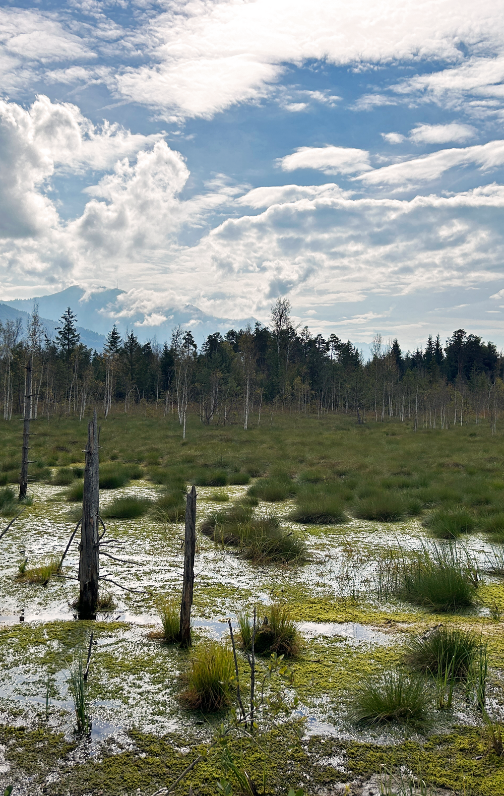 Das Werdensteiner Moos mit vereinzelten Schneeflecken und wolkenüberzogenem Himmel