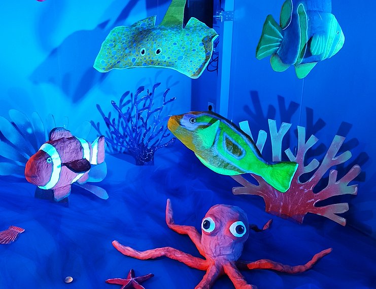 Das Aquarium lädt in die Unterwasserwelt ein.
