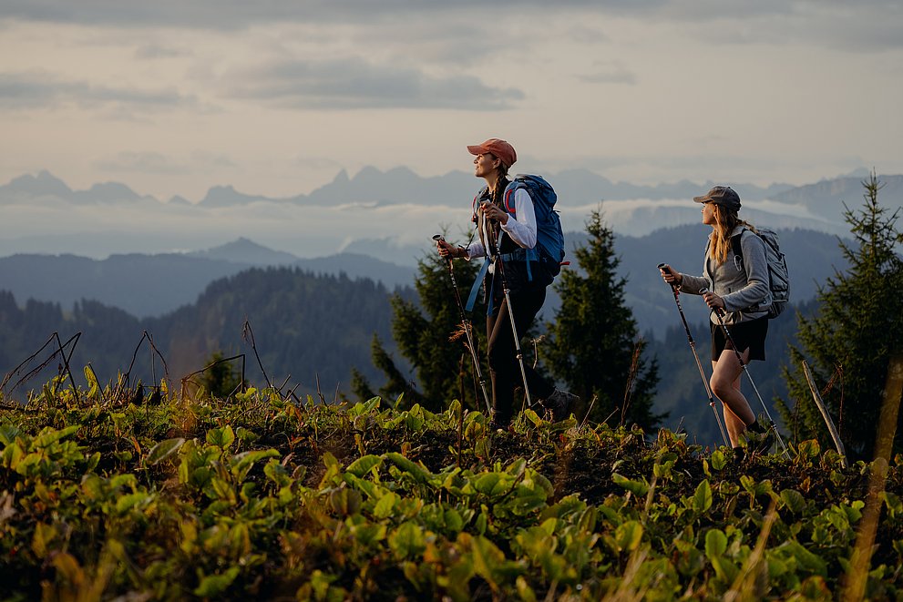 Zwei Wanderrinnen auf dem Premiumwanderweg Luftiger Grat mit Bergpanorama