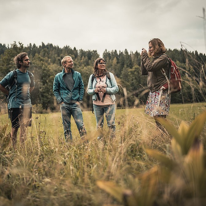 Naturführerin steht mit einer Gruppe auf einer Wiese und erklärt etwas