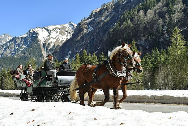 Kutsche von zwei Pferden gezogen im winterlichen Hintersteiner Tal