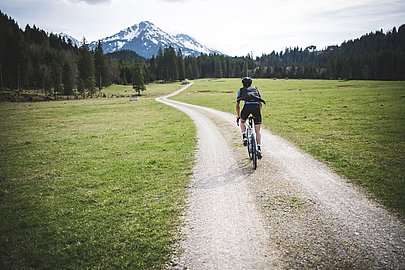 Gravelbiker fährt auf einem Schotterweg über eine Wiese, im Hintergrund Wald und ein Berggipfel