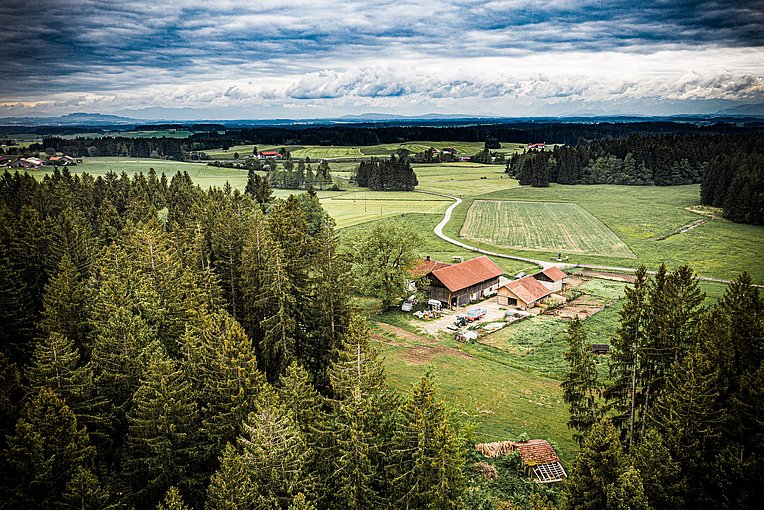 der Hof des Westallgäuers Peter Sigl mit den Allgäuer Weideschweinen in einer Drohnenaufnahme