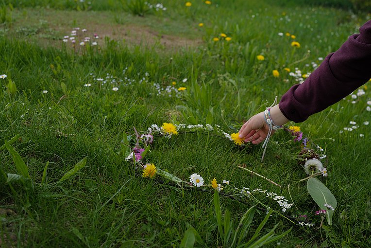 Hand legt Herz aus Blüten auf eine Wiese