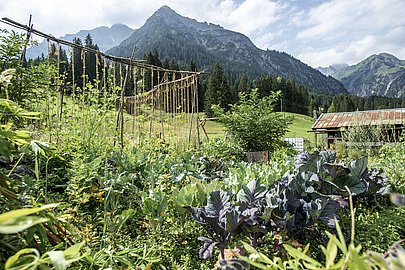 Permakulturgarten mit Gemüsebeeten, dahinter die Berge