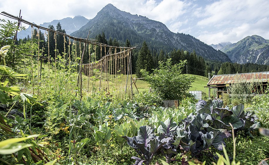 Permakulturgarten mit Gemüsebeeten, dahinter die Berge