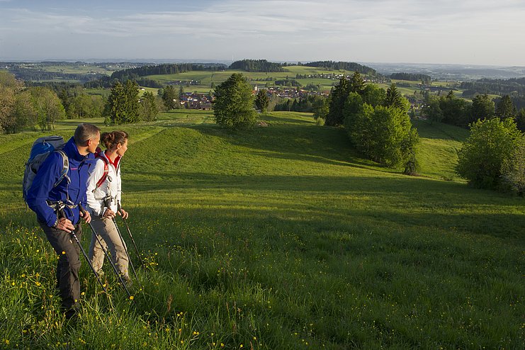 Martinshöhe