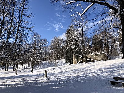 Schnee auf Bäumen und Ruine im Füssener Baumgarten