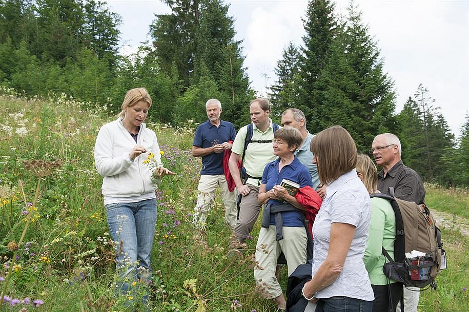 KRÄUTERWANDERUNG
