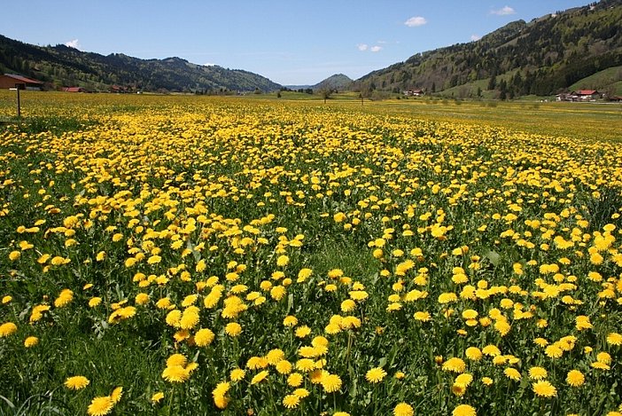 Blick aus unserer Saunalandschaft