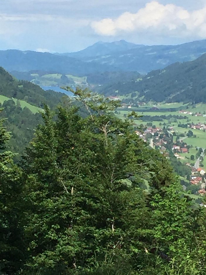 Blick vom Staufner Berg Richtung Immenstadt